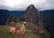 Peru-Cusco-Inca Trail Hike